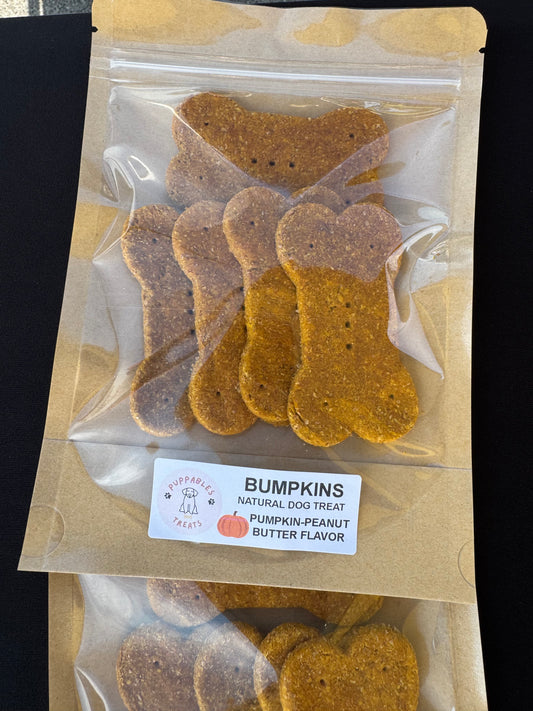 Bumpkins - 3” Large pumpkin-peanut butter flavor