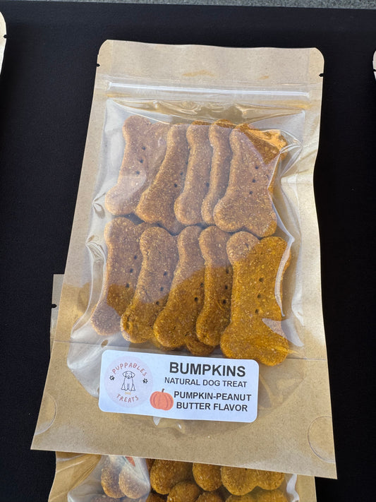 Bumpkins - 2” Medium pumpkin-peanut butter flavor